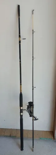 Vara com molinete Daiwa