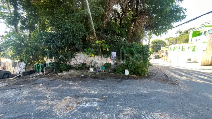Terreno Residencial em Agronômica