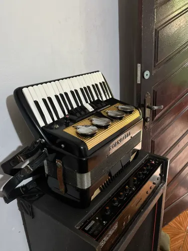 Vendo acordeão em perfeito estado 