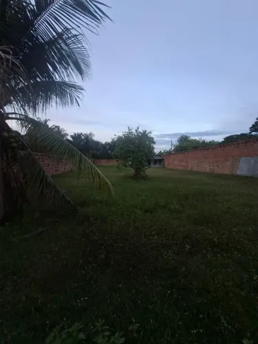 Terreno no Ramal do Lago Janauari 