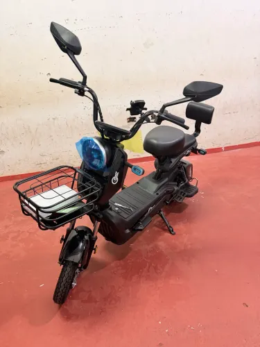 MOTO ELÉTRICA TAILG JK30 500W