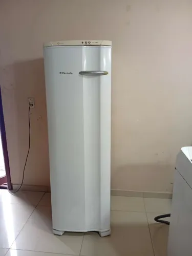 Frizer vertical