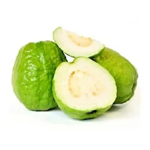Goiaba paluma branca