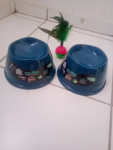 Gatos