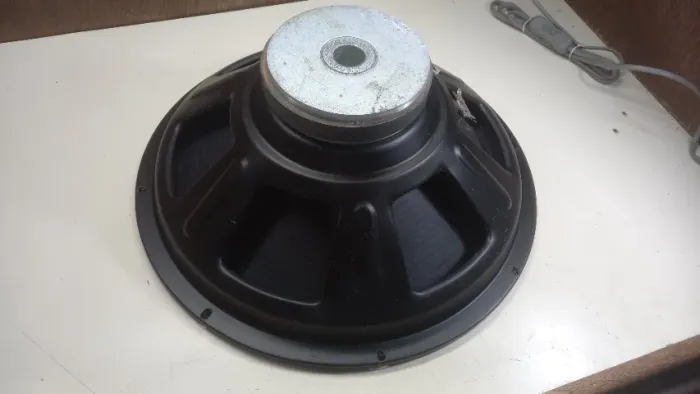 Autofalante 15 Polegadas
