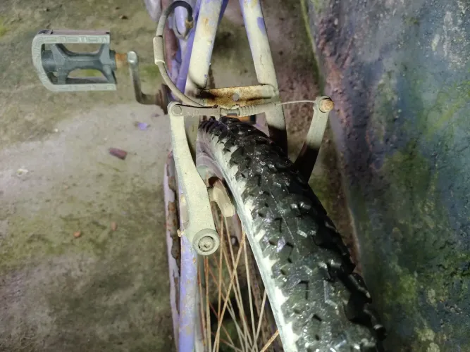 Bicicleta