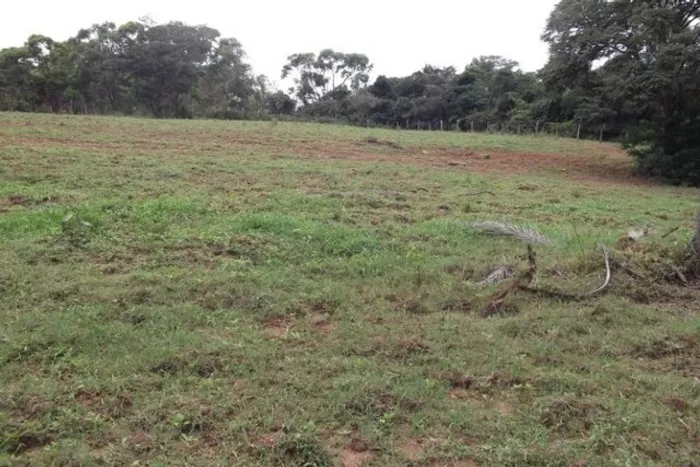 Fazendinha de 5 ha, casa simples e piscina em Jaboticatubas!