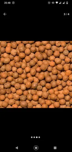 Venda