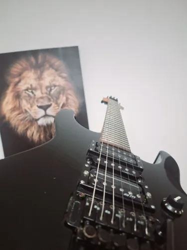 Jackson JDR-94 Concept - Japão 1994 ? Floyd Rose ? HSH