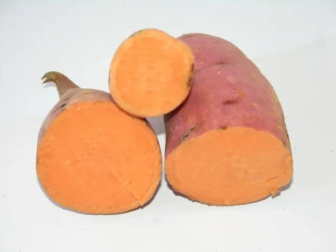 Batata Doce cenoura (Beauregard)