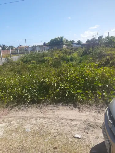 Vendo terreno