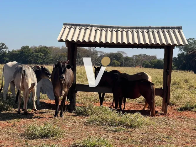 Chácara para Venda em Santo Expedito, 2 dormitórios, 1 banheiro