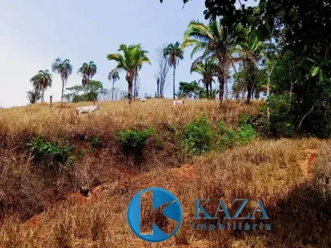 FAZENDA COM ABUNDÂNCIA DE ÁGUA E ESCRITURA EM PLANALTINA-GO ? PRONTA PARA PRODUZIR