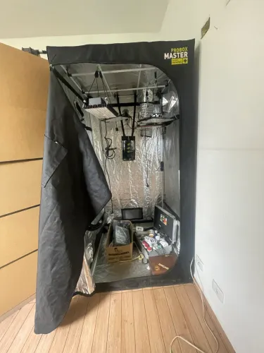 Estufa Grow Probox Master  com janelas 
