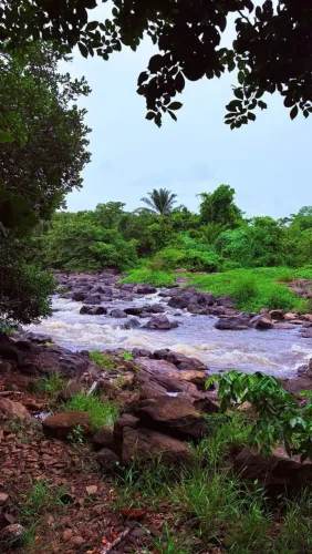 Terrenos em barra de barra de pojuca