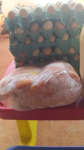 Frango Melhorado Criado Solto