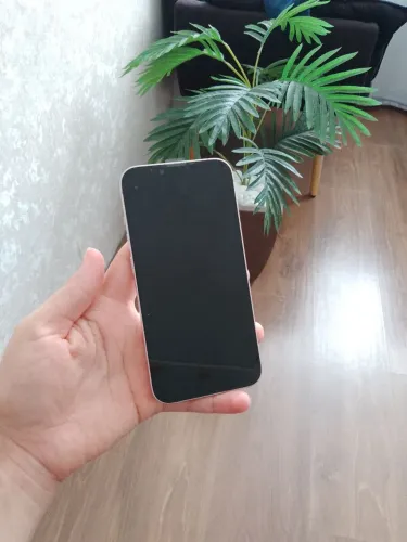iPhone 13