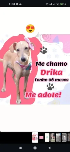 Doando