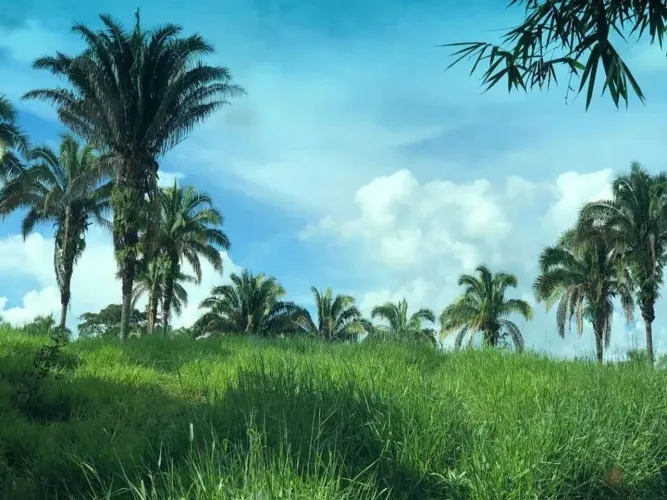Fazenda à venda, zona rural, Pires do Rio, GO