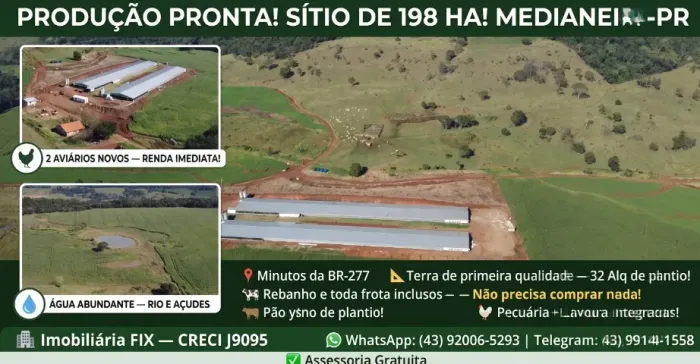 ? RENDA GARANTIDA! Sítio 81,81 Alq ? Medianeira-PR! Porteira Fechada! Aviários + Gado + T