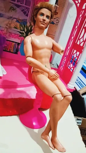 Ken fashionista