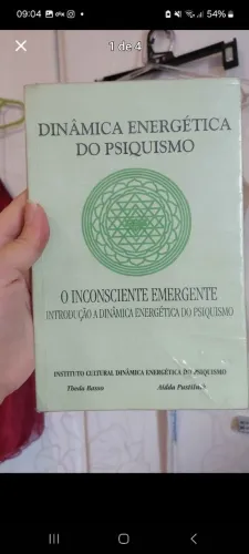 Livro Dinâmica energética do psiquismo de theda Basso e Aidda Pustilnik