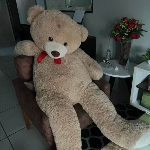 Urso gigante