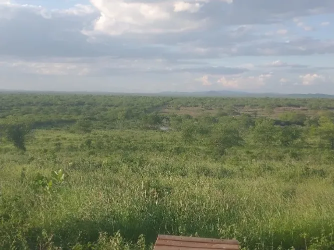Fazenda em Arcoverde/PE à Venda (FA0198-DV)