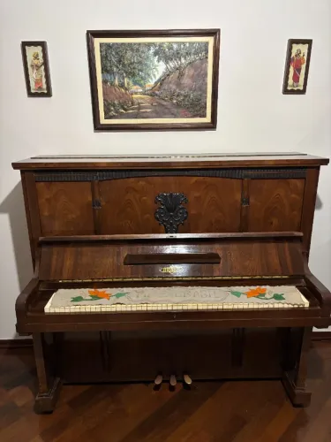 Piano Brasil 88 teclas
