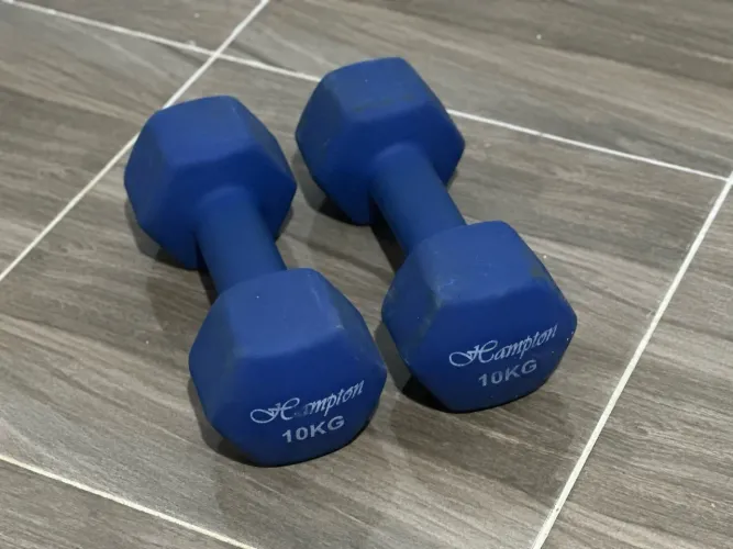 Halteres emborrachados de 10kg