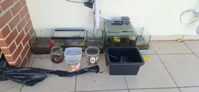 Vendo aquarios