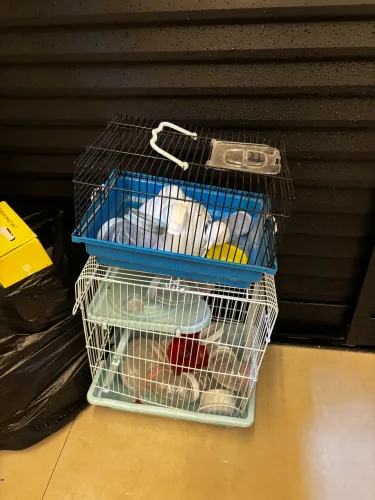 2 gaiolas para hamster