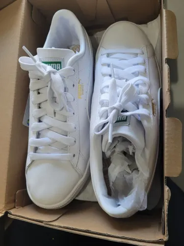 Puma imperdivel