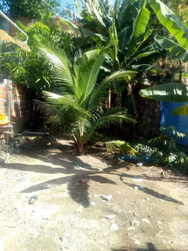 Terreno Em Mandacaru
