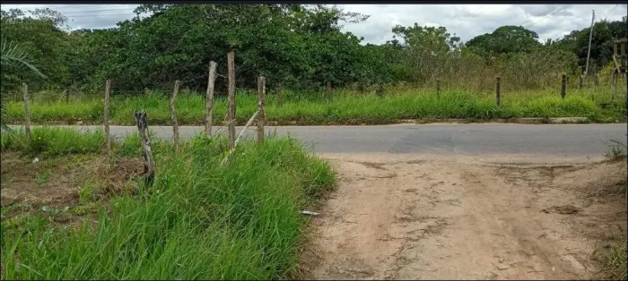 Vendo terreno,1 tarefa de terra a 300 metros da pista asfaltada da principal da matinha