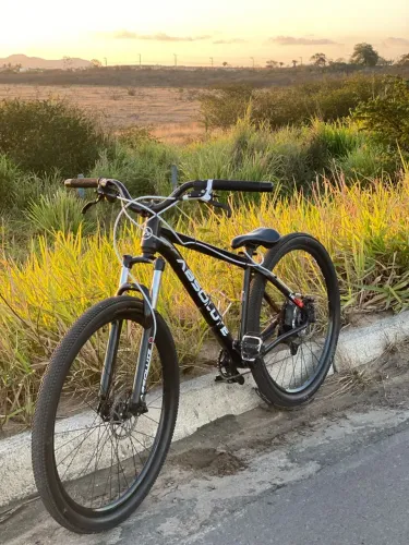 Bike aro 29