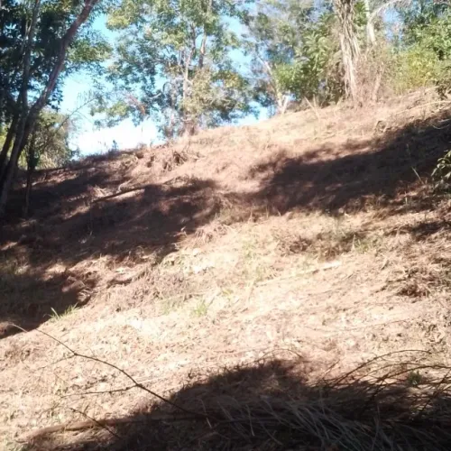 GRANJA Matias Barbosa!!!!!