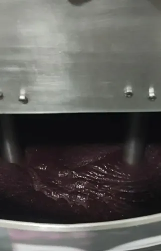 Triturador de açaí 