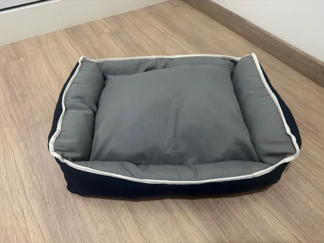 Caminha para Pet