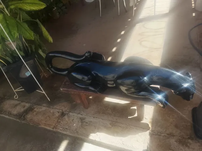 Vendo pantera negra de gesso