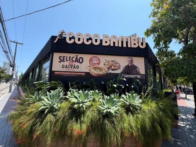 VAGAS COCO BAMBU DOM PASTEL