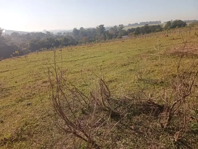 Imóvel para venda com 74000 metros quadrados em Gramadinho - Porto Feliz - SP