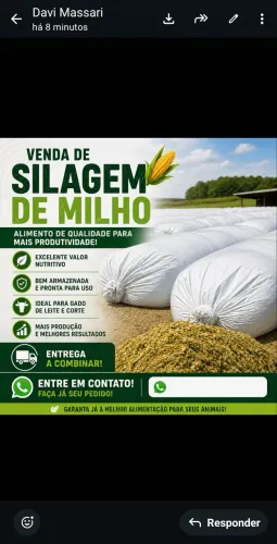 Vendo silagem de milho de qualidade .
