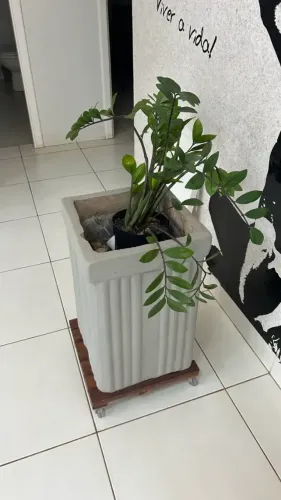 Par de Vasos Cúbicos Trabalhados com Planta Zamioculca + Suporte de Madeira com Rodízios