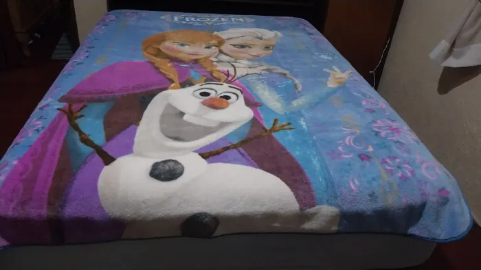Vendo esse coberto da marca jolitex frozen 