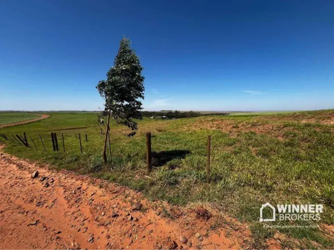 Chácara à venda, 3000 m² por R$ 120.000,00 - Zona Rural - Iguaraçu/PR