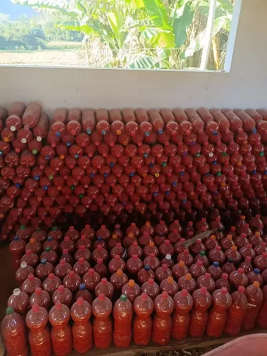 Pimenta Malagueta 