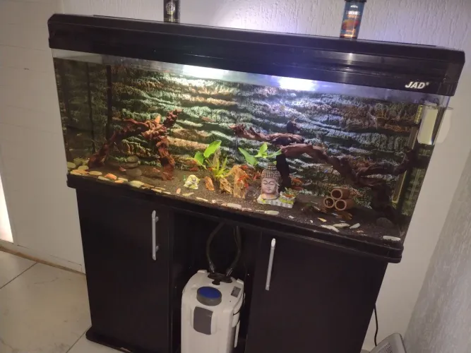 Aquário completo