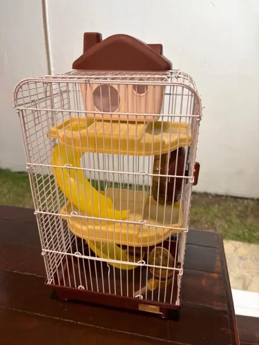 briquedos e viveiros vendo tudo junto nesse valor