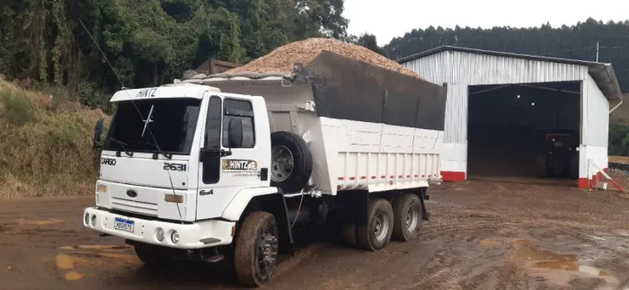 Ford cargo